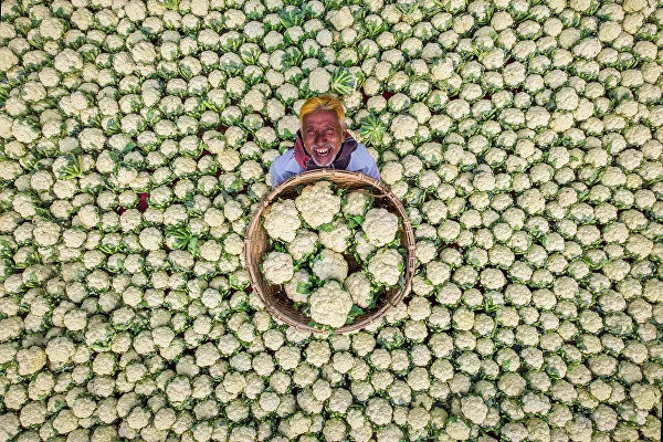 Andrey Stenin Basın Fotoğrafçılığı yarışmasının kazananları